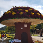 카페 프로필 이미지