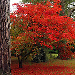 카페 프로필 이미지