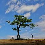 카페 프로필 이미지