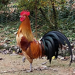카페 프로필 이미지