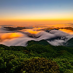 카페 프로필 이미지