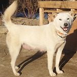 카페 프로필 이미지