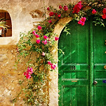 카페 프로필 이미지