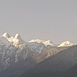 카페 프로필 이미지