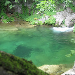 카페 프로필 이미지