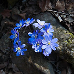 카페 프로필 이미지