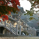 카페 프로필 이미지