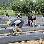 카페 프로필 이미지