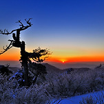 카페 프로필 이미지