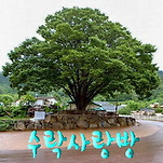 카페 프로필 이미지