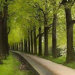 카페 프로필 이미지