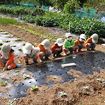 카페 프로필 이미지