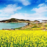 카페 프로필 이미지