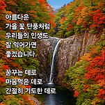 카페 프로필 이미지