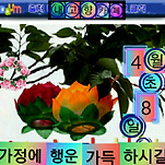 카페 프로필 이미지