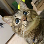 카페 프로필 이미지