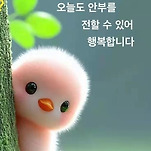 카페 프로필 이미지