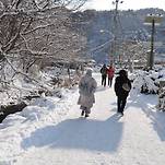 카페 프로필 이미지