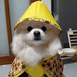 카페 프로필 이미지