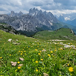 카페 프로필 이미지