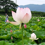 카페 프로필 이미지