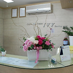 카페 프로필 이미지