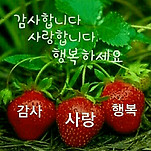 카페 프로필 이미지