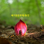 카페 프로필 이미지