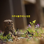 카페 프로필 이미지