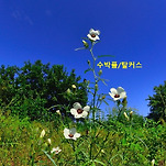 카페 프로필 이미지