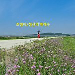 카페 프로필 이미지