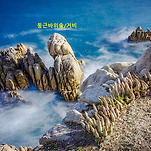 카페 프로필 이미지