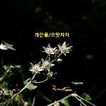 카페 프로필 이미지