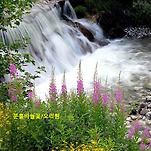 카페 프로필 이미지