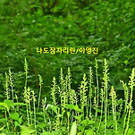 카페 프로필 이미지