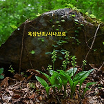카페 프로필 이미지