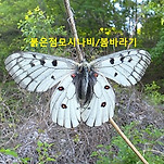 카페 프로필 이미지