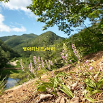 카페 프로필 이미지