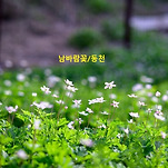 카페 프로필 이미지