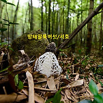 카페 프로필 이미지