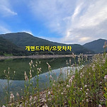카페 프로필 이미지