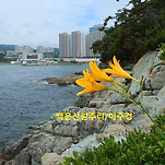 카페 프로필 이미지