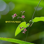 카페 프로필 이미지