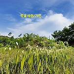 카페 프로필 이미지