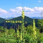 카페 프로필 이미지