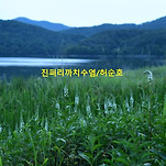 카페 프로필 이미지