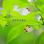 카페 프로필 이미지