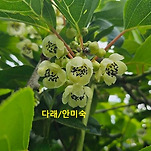 카페 프로필 이미지