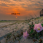 카페 프로필 이미지