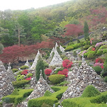 카페 프로필 이미지